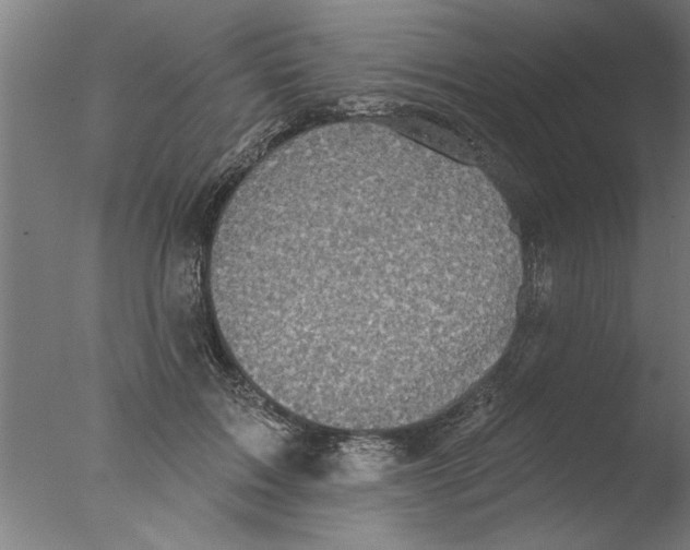 X0000076080603200610202042