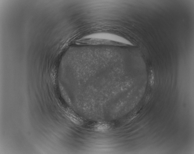 X0000076080604200610202042