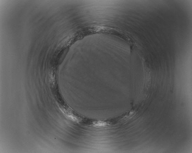 X0000076080607200610202042