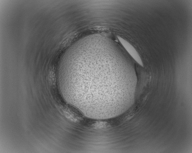 X0000076080609200610202042