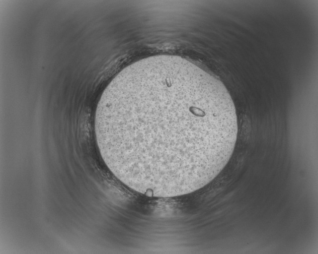 X0000076080612200610202042