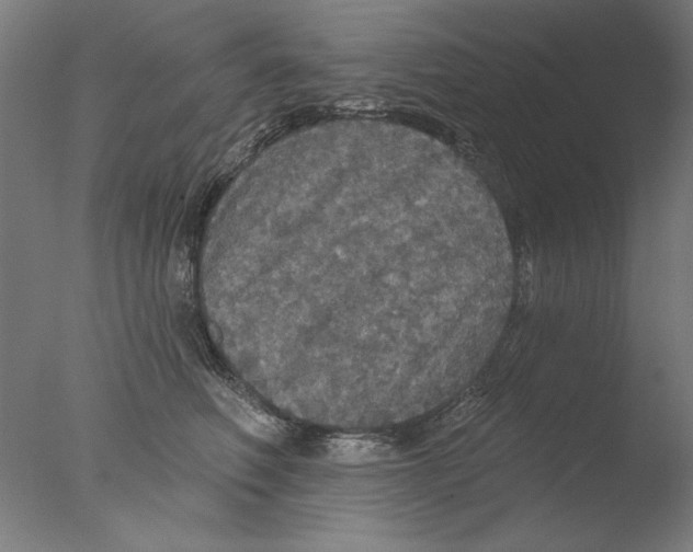 X0000076080614200610202042