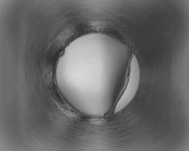 X0000076080615200610202042