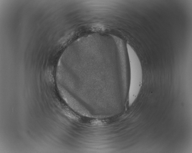 X0000076080616200610202042