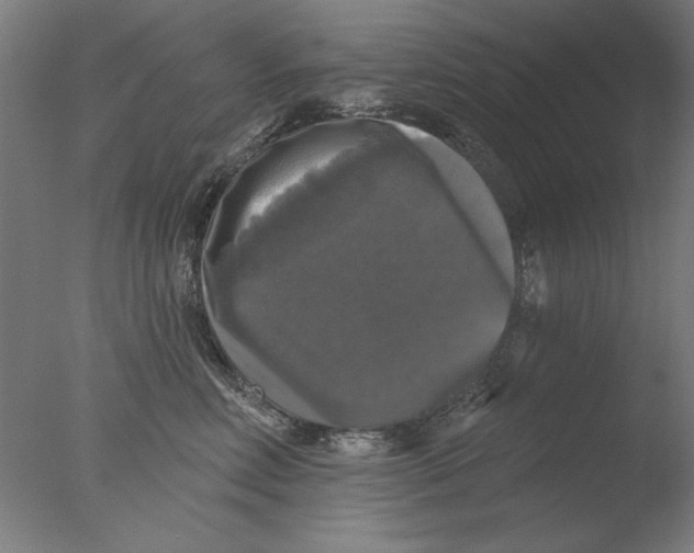 X0000076080618200610202042