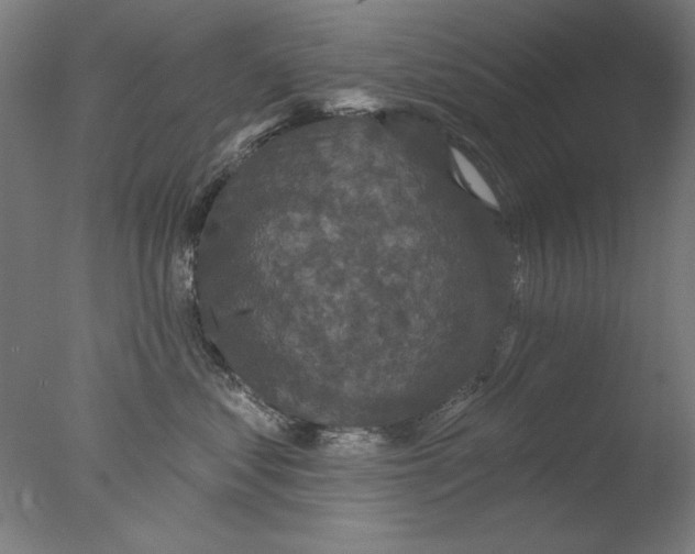 X0000076080621200610202042