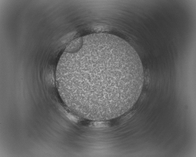 X0000076080622200610202042