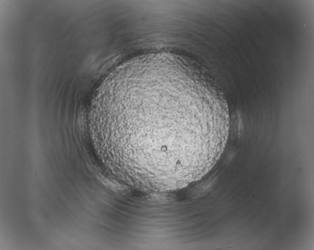 X0000076080623200610202042