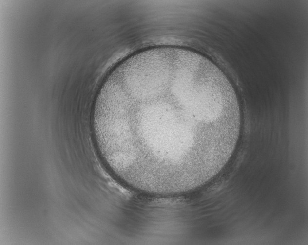 X0000076080625200610202041