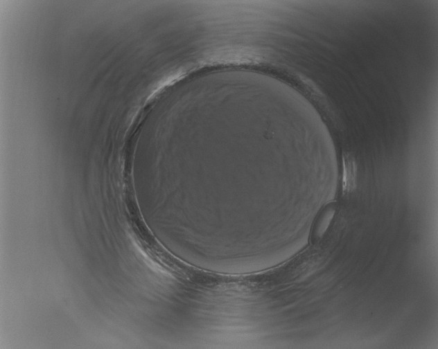 X0000076080627200610202041