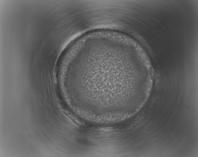 X0000076080628200610202041