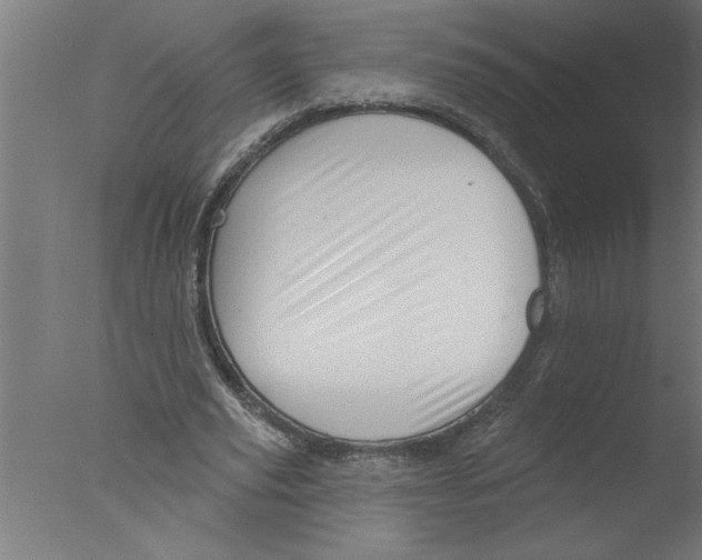 X0000076080629200610202041