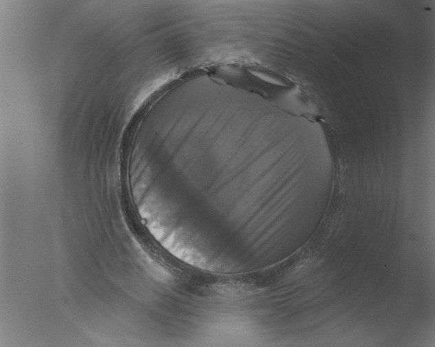 X0000076080630200610202041