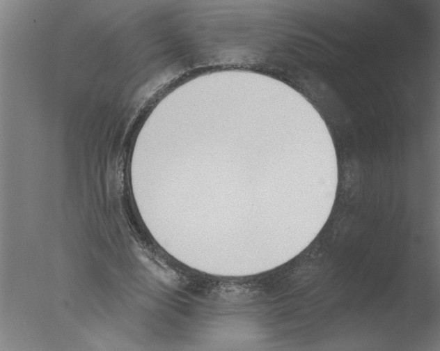 X0000076080632200610202041