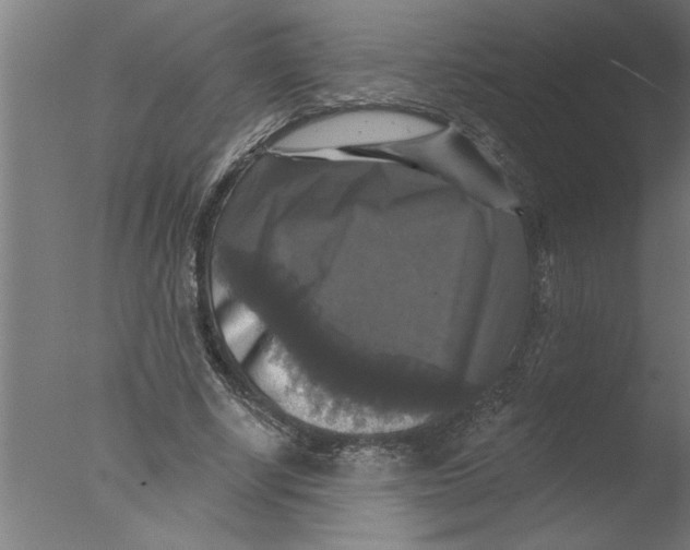 X0000076080634200610202041