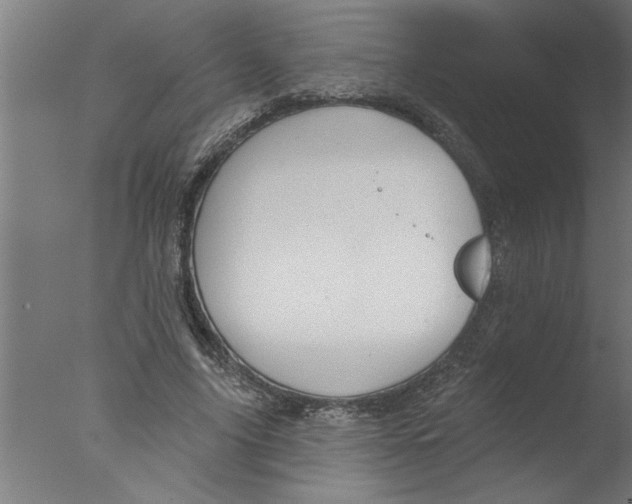 X0000076080635200610202041