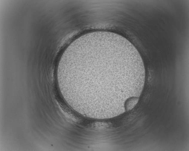 X0000076080636200610202041