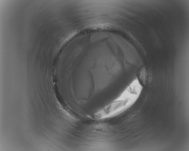 X0000076080637200610202041