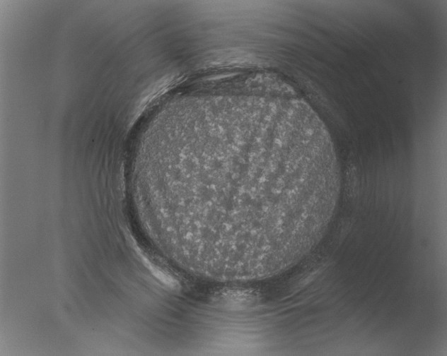 X0000076080638200610202041