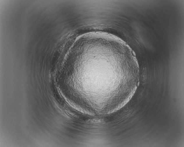 X0000076080639200610202041