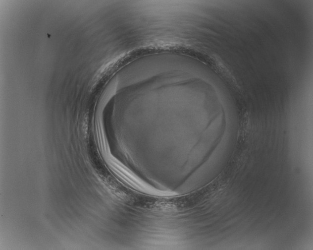 X0000076080640200610202041