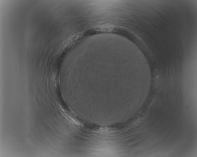 X0000076080641200610202041