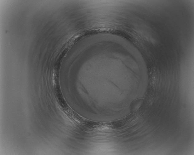 X0000076080643200610202041