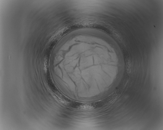 X0000076080644200610202041