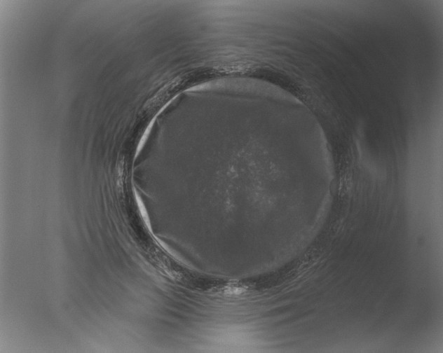 X0000076080647200610202041