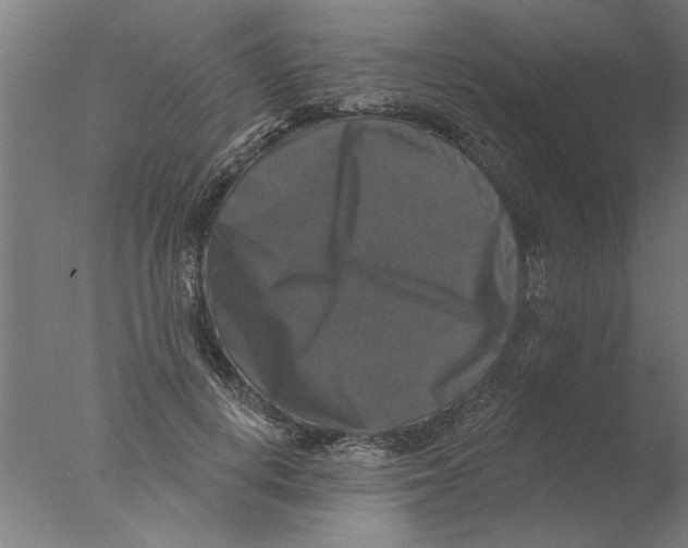 X0000076080648200610202041