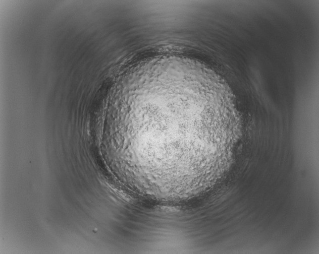 X0000076080649200610202041