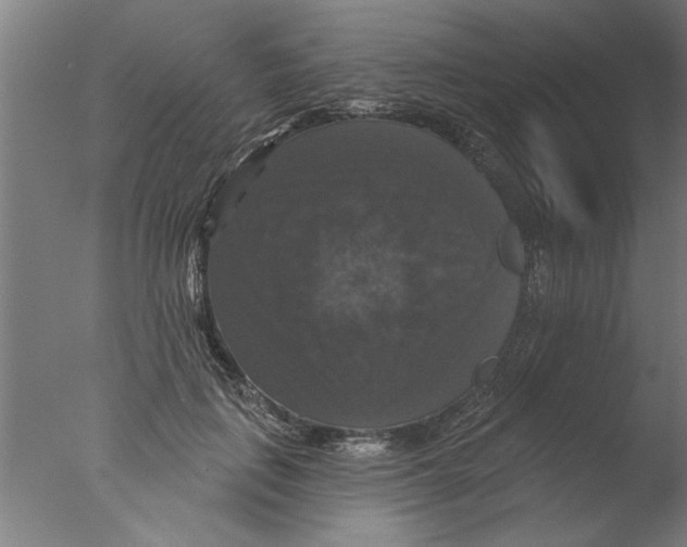 X0000076080651200610202041