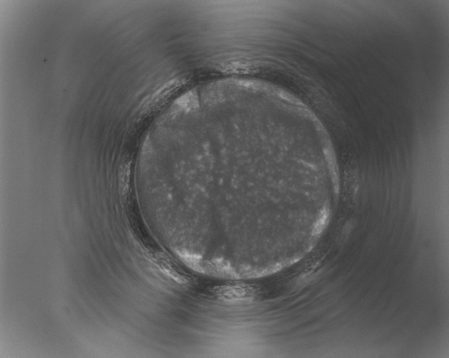 X0000076080652200610202041