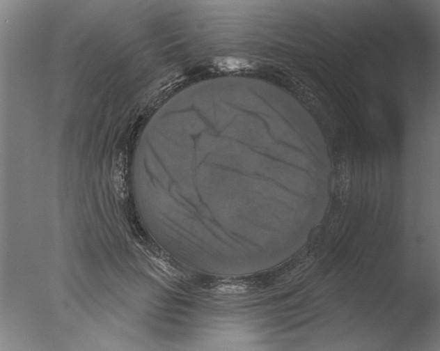 X0000076080653200610202041