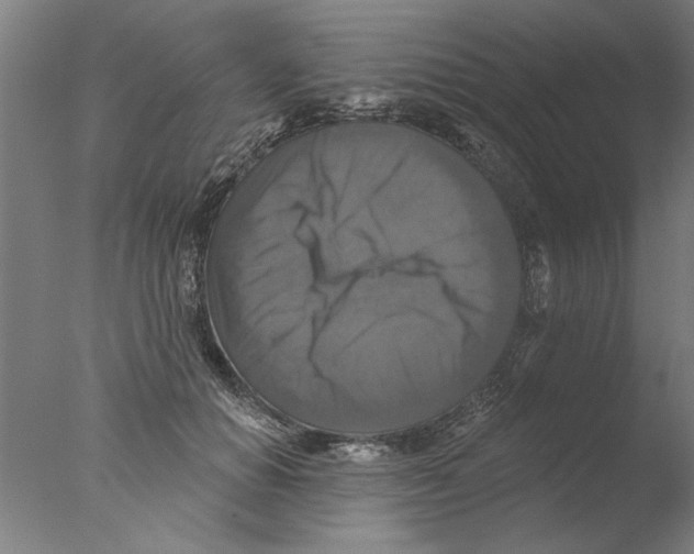 X0000076080654200610202041