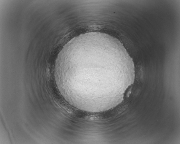 X0000076080655200610202041