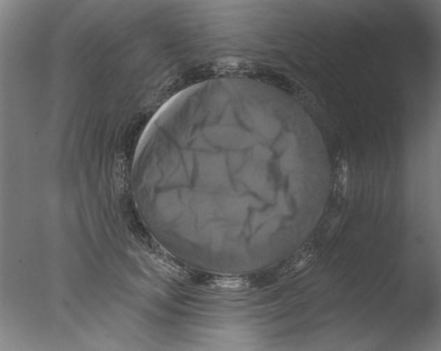 X0000076080659200610202041