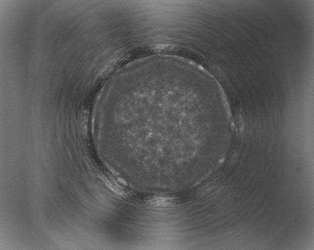 X0000076080664200610202041