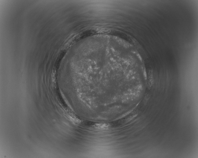 X0000076080667200610202042