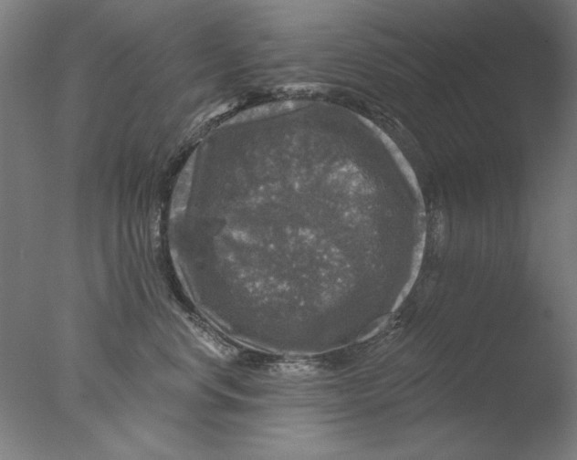 X0000076080668200610202042