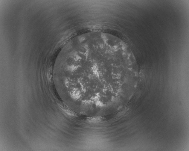 X0000076080671200610202042