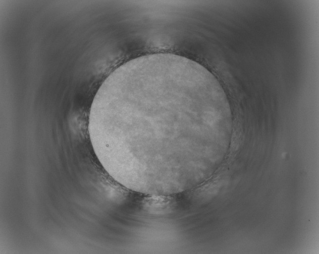 X0000076080672200610202042