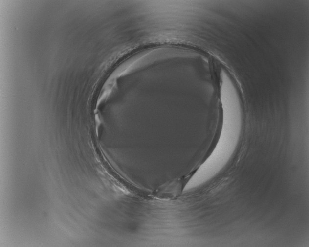 X0000076080673200610202041