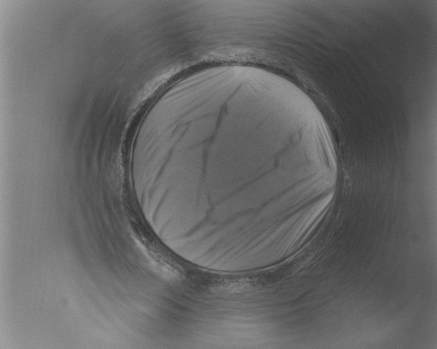 X0000076080674200610202041