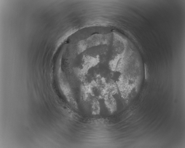 X0000076080675200610202041