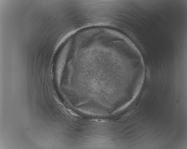 X0000076080676200610202041