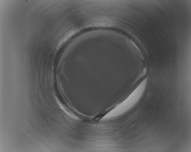 X0000076080677200610202041