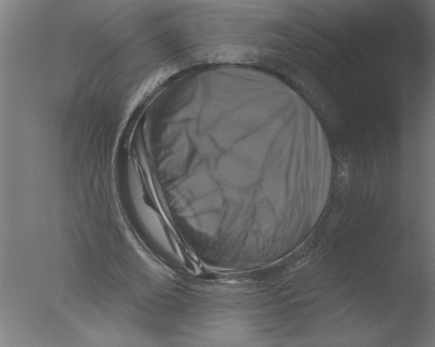 X0000076080678200610202041