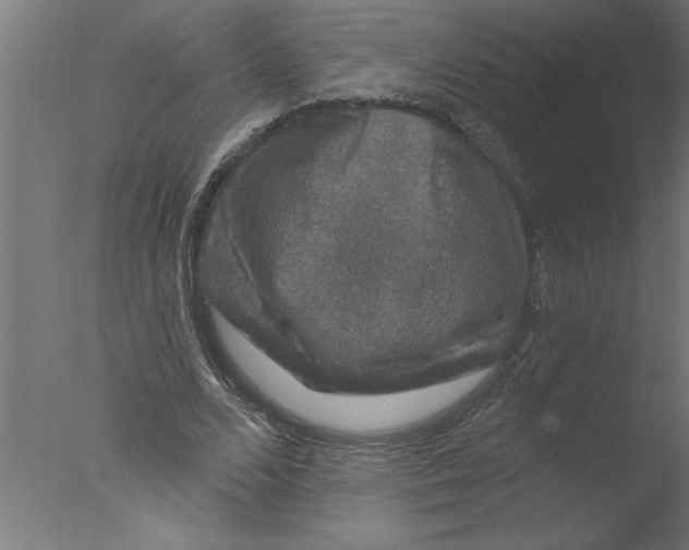 X0000076080680200610202041