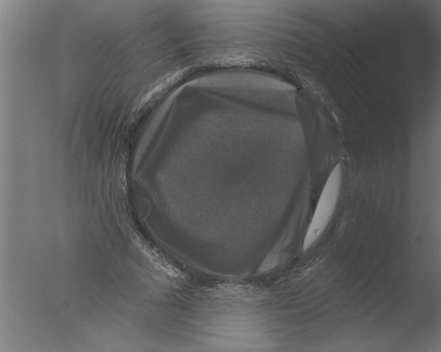 X0000076080681200610202041